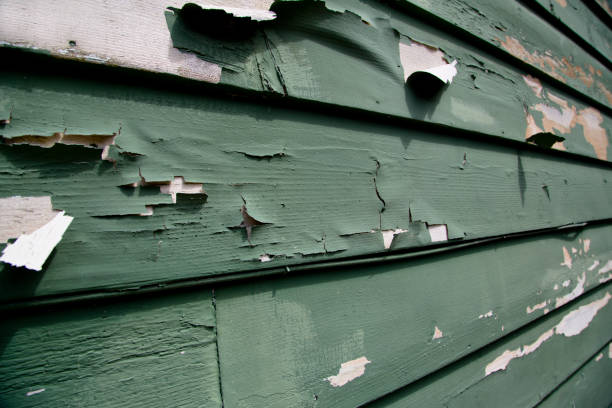 Best Residential Junk Removal  in Lyman, MS