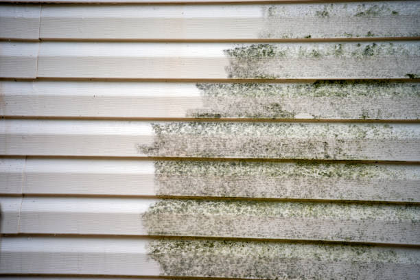 Best Yard Waste Removal  in Lyman, MS