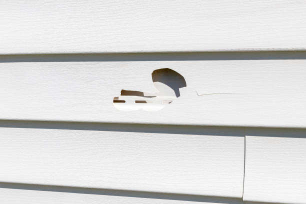 Best Shed Removal  in Lyman, MS
